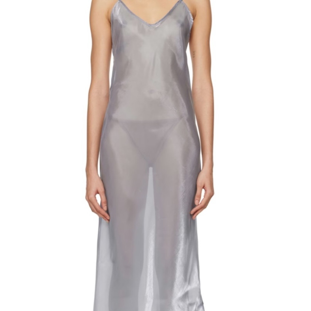 Elegant Silver Chemise